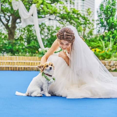 愛犬と一緒に☆ペット婚プラン