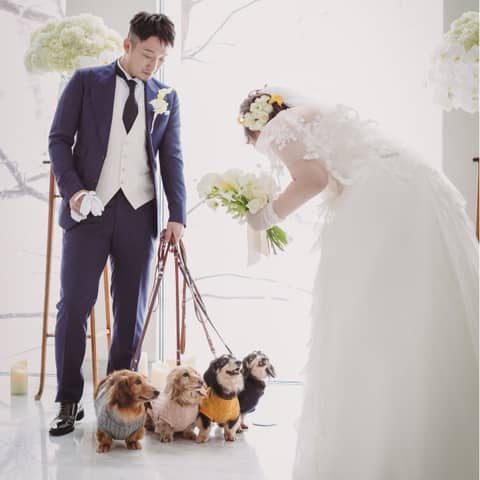【ペットと過ごす結婚式】挙式もパーティもペットと一緒にWを♪