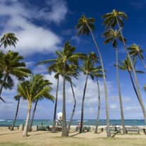 ブライダルリング、ハネムーンご優待カードプレゼント