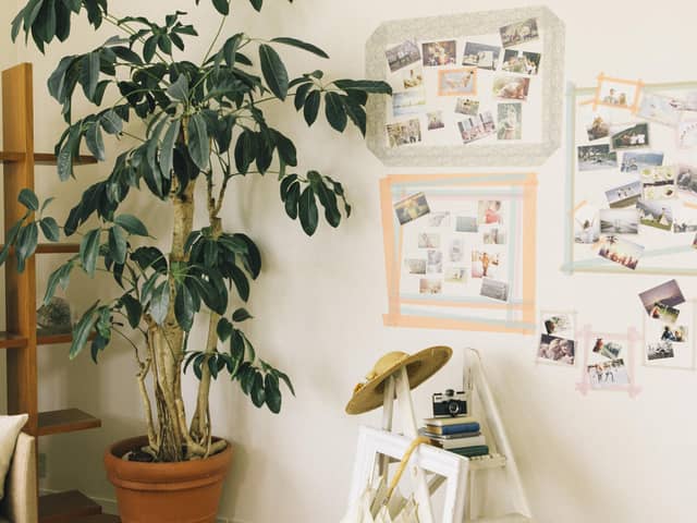 【公式】鞘ヶ谷ガーデン アグラス 北九州市の結婚式場