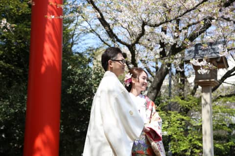 【桜と木瓜の花の中で伝統的な神社で挙げる結婚式を】春婚鶴之式プラン