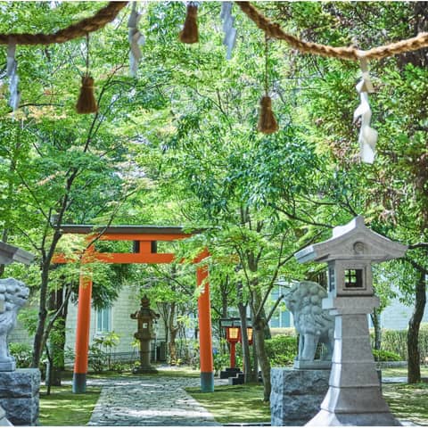 グランラセーレの森