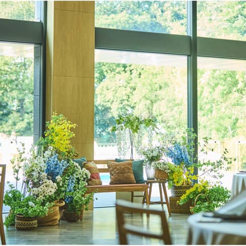 グランラセーレの森