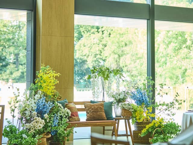 グランラセーレの森