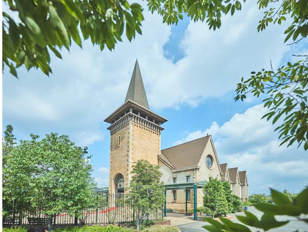 グランラセーレの森