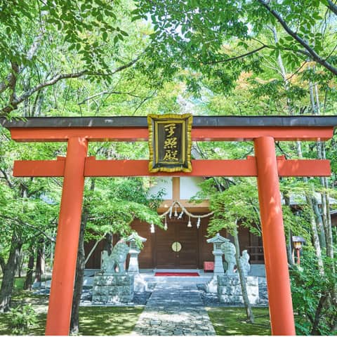 グランラセーレの森