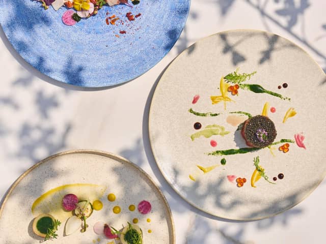 グランラセーレの森