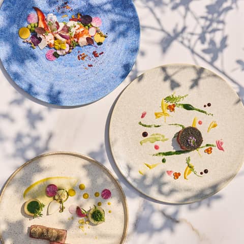 グランラセーレの森