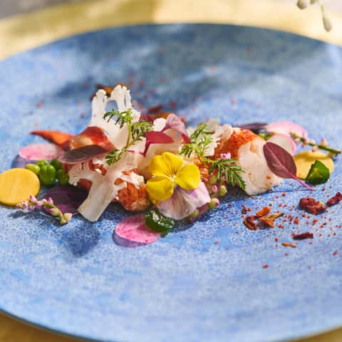 グランラセーレの森