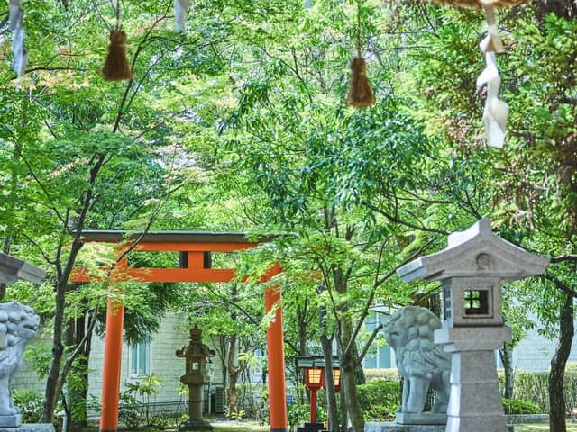 グランラセーレの森