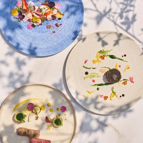 グランラセーレの森