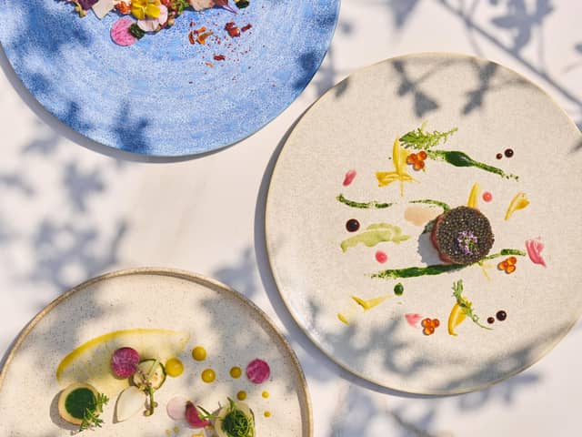 グランラセーレの森