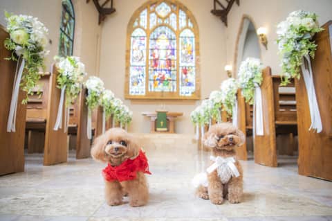 Patrick Kiso Garden（パトリック・キソ・ガーデン）｜ 東京町田の結婚式場