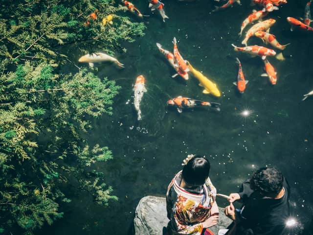 つきじ治作|東京都銀座の料亭結婚式・ウエディング