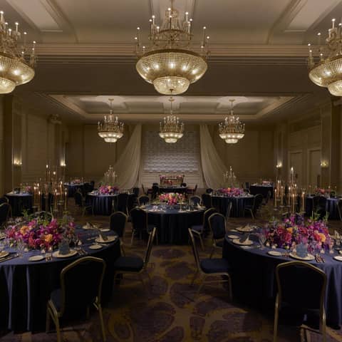 【平日・仏滅限定】40名211万円⇒162万円★Specialプラン★