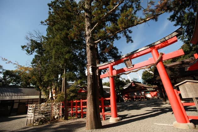 京都東山の結婚式場 【桜鶴苑（おうかくえん）】