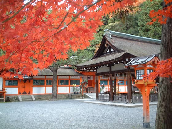 京都東山の結婚式場 【桜鶴苑（おうかくえん）】