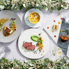 ≪完売間近≫25年12月まで シーズンプラン
