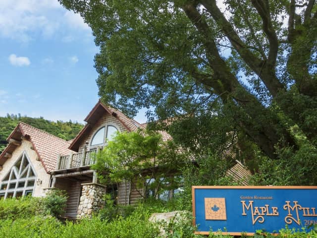 【公式】メープルヒル|山口県周南市のガーデンレストラン&ウエディング