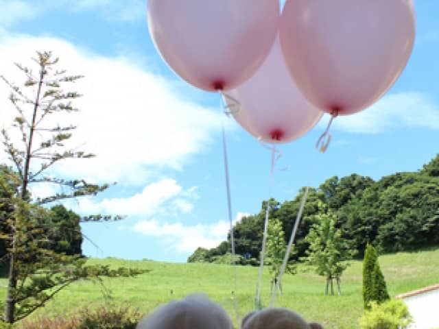 【公式】メープルヒル|山口県周南市のガーデンレストラン&ウエディング