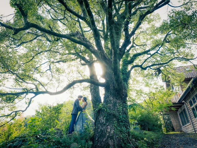 【公式】メープルヒル|山口県周南市のガーデンレストラン&ウエディング