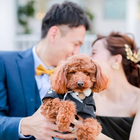 アールベルアンジェ名古屋 | 名古屋の結婚式場