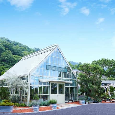 《30名30万円》SOLA CAFE限定パーティープラン