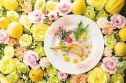 【公式】ART HOTEL NEW TAGAWA(アートホテルニュータガワ)|福岡 小倉 結婚式 素材の味を生かした見た目にも美しい料理でおふたりのパーティーに彩りを添えます