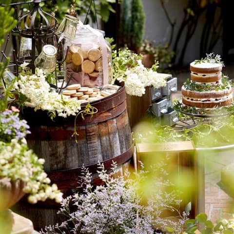 【最大50万円優待】◆2026年10～12月の結婚式◆得婚プラン