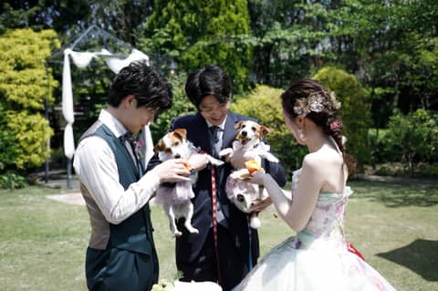 【ワンちゃん ネコちゃん連れOK！】リングペットで叶える結婚式プラン