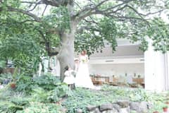 【前撮り撮影が無料】プレミアム モチの木プラン