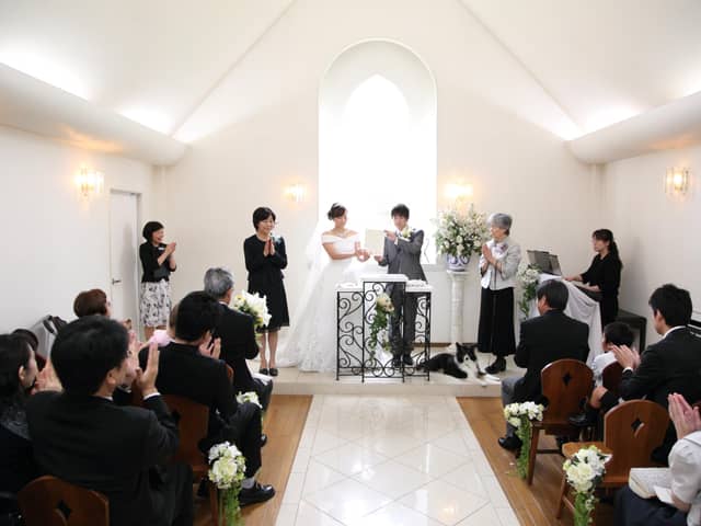 【公式】アンジュ・デ・ラヴィ|大阪府の結婚式場