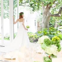 200着から自由に選べるドレス試着&相談会