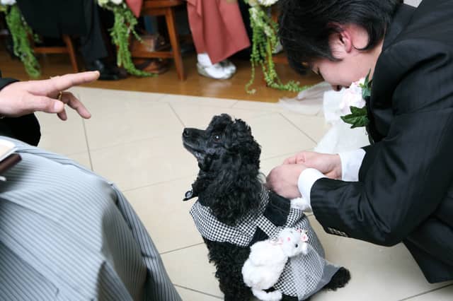 【公式】アンジュ・デ・ラヴィ｜大阪府の結婚式場