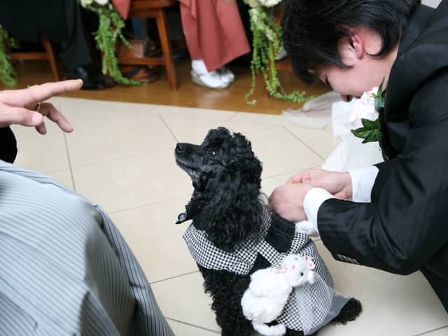 【公式】アンジュ・デ・ラヴィ|大阪府の結婚式場