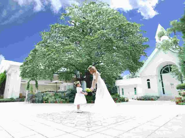 【公式】アンジュ・デ・ラヴィ|大阪府の結婚式場