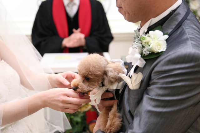 【公式】アンジュ・デ・ラヴィ｜大阪府の結婚式場