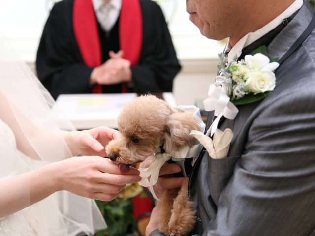 【公式】アンジュ・デ・ラヴィ|大阪府の結婚式場