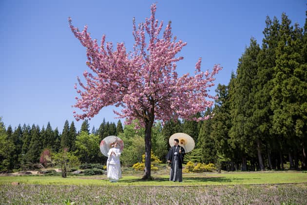 新潟の結婚式場はあてま高原リゾートベルナティオ【公式】