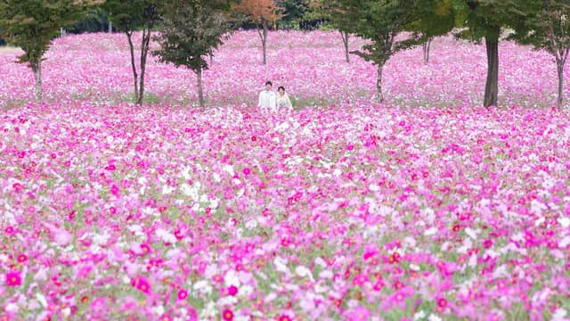 新潟の結婚式場はあてま高原リゾートベルナティオ【公式】