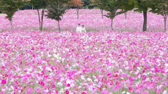 新潟の結婚式場はあてま高原リゾートベルナティオ【公式】