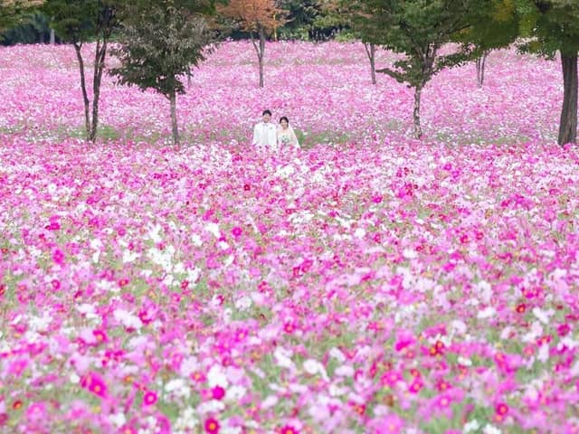 新潟の結婚式場はあてま高原リゾートベルナティオ【公式】