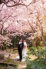 組数限定！ご負担金ゼロ｜ご祝儀だけで叶う2027年春の婚礼【3～5月】