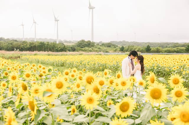 ベルルクス・プチ (ベルヴィグループ)