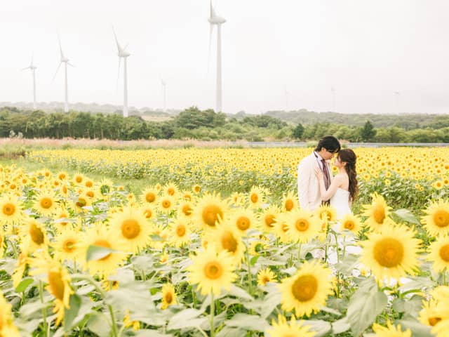 ベルルクス・プチ (ベルヴィグループ)