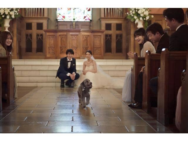 グランラセーレレガロ