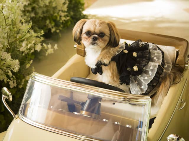 山口市の結婚式場・ララマリー