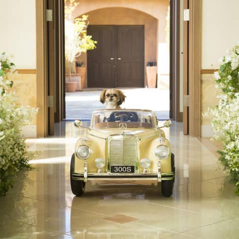 山口市の結婚式場・ララマリー