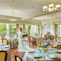 【26年7月限定】50名242万☆緑きらめくサマーガーデンプラン