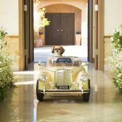 【ペットと叶える挙式のみプラン】肉球証明書付セレモニー